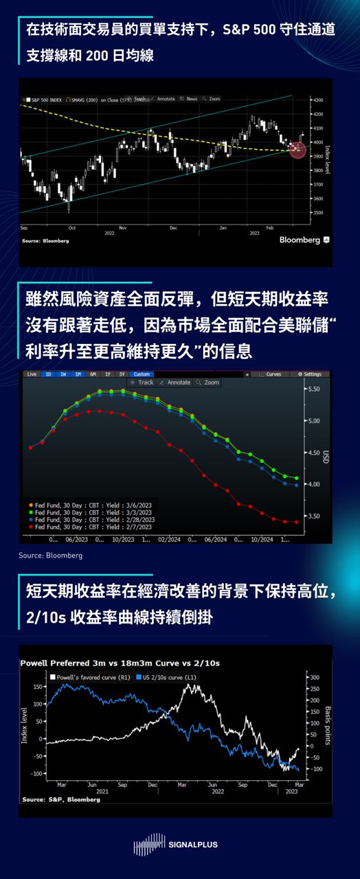 最新动态展望：美好趋势尽收眼底