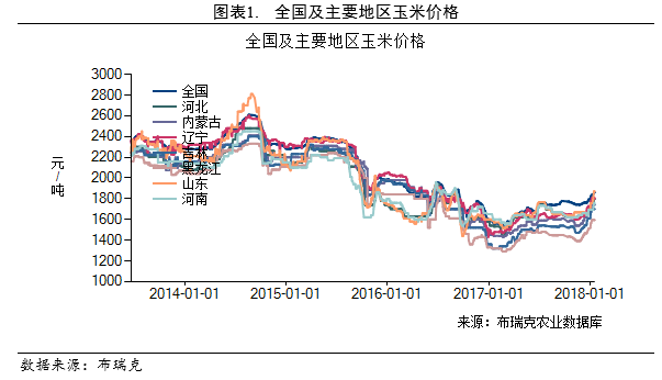 最新全国玉米动态