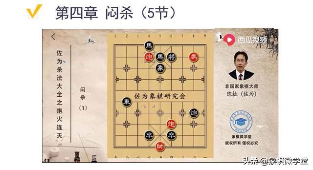 佐为大师象棋智慧盛宴，精彩讲座全收录