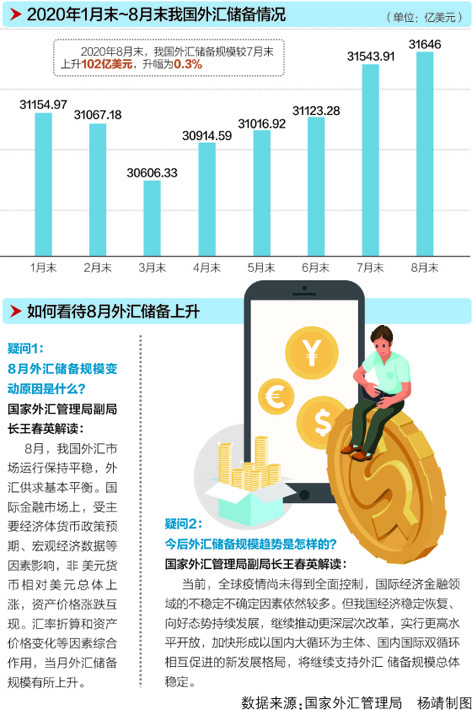 最新一期外汇储备动态解析