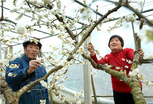 安徽新锐大棚艺术团，演绎最新歌舞风采