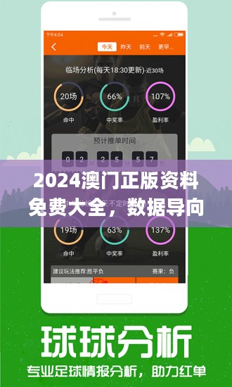 2024新澳门精准免费大全，精选解析、解释与落实